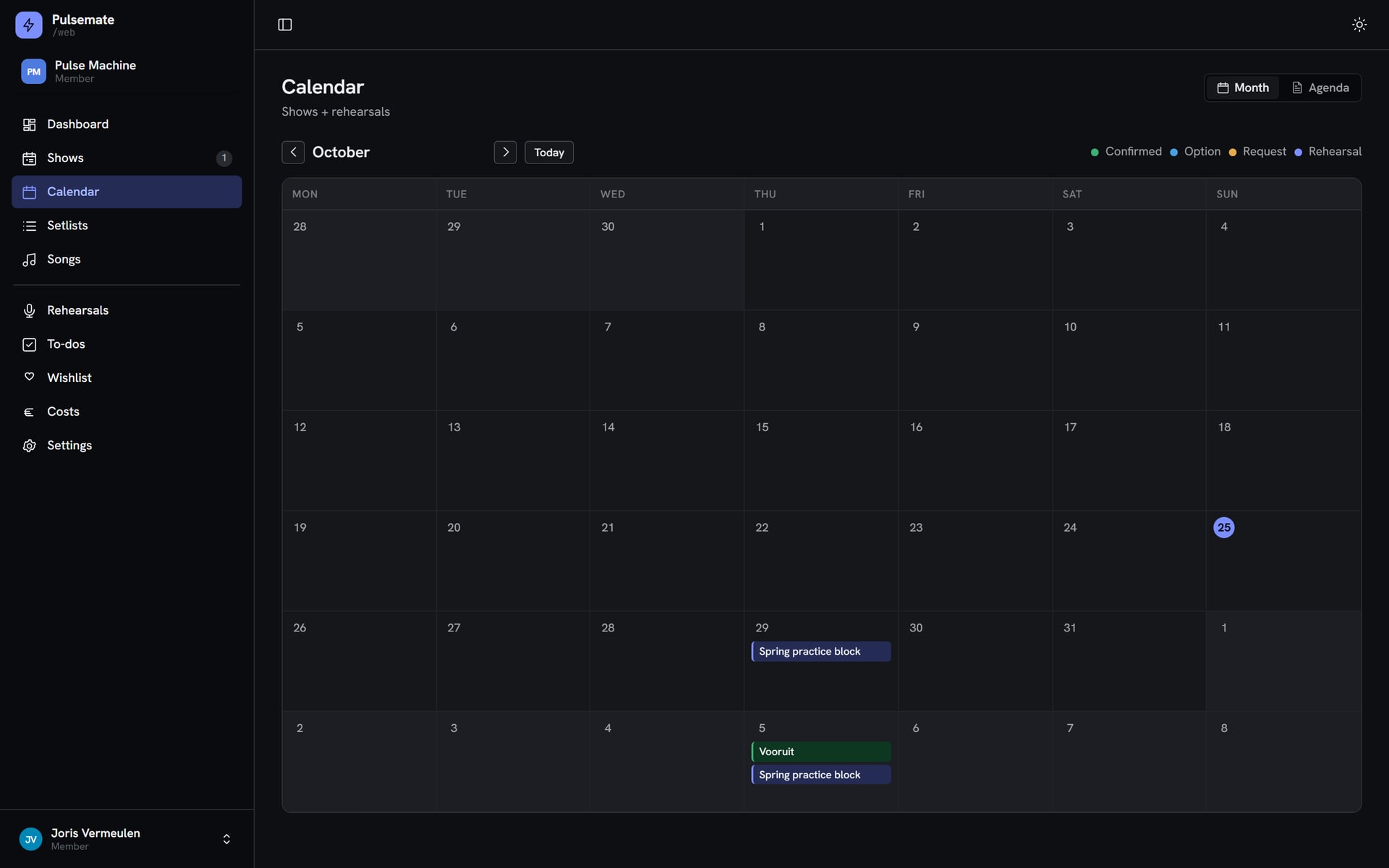 The calendar in the Pulsemate web version